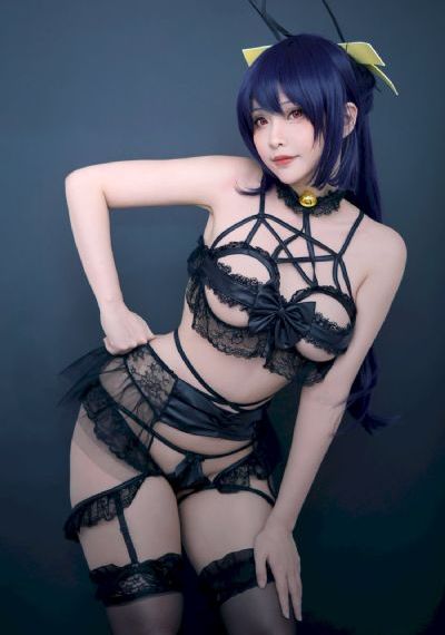 杀破狼在线观看完整版免费_HD免费观看电视剧